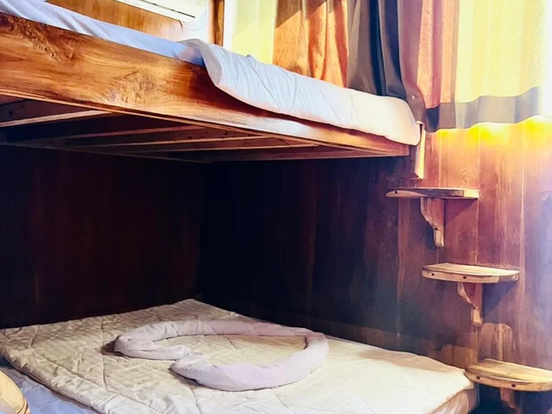 Family Superior - Image 1